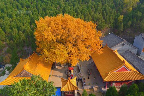 最远的边陲工厂区水井放什么地方比较好