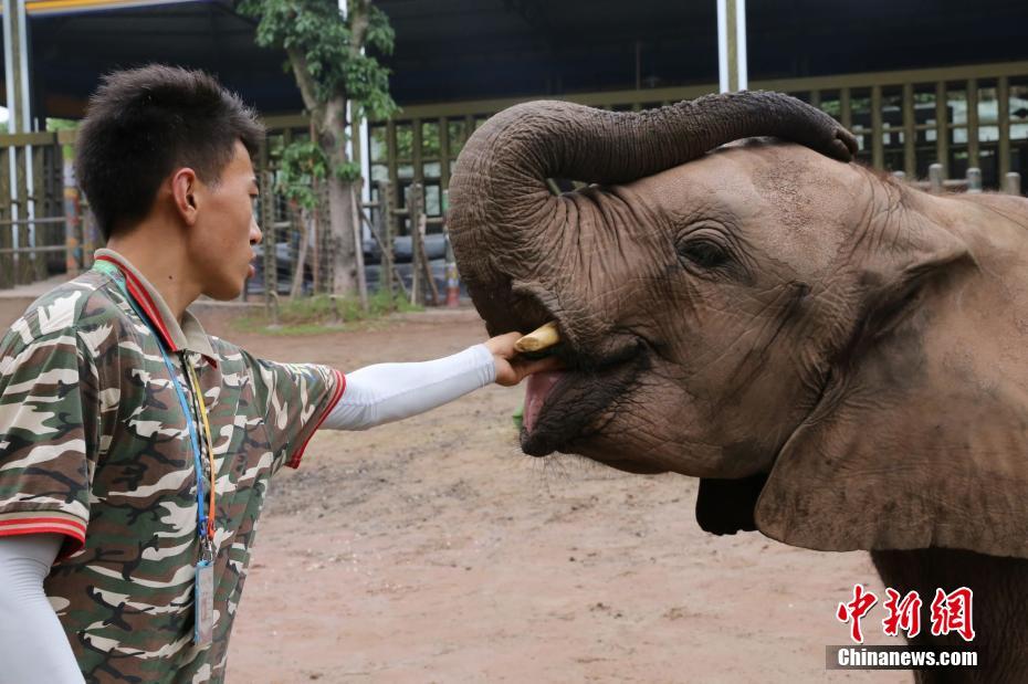 Valheim二星史莱姆和普通史莱姆有什么区别